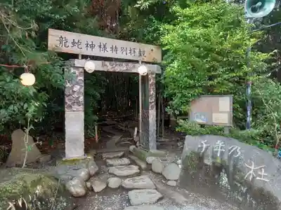 龍蛇神の社(神奈川県)