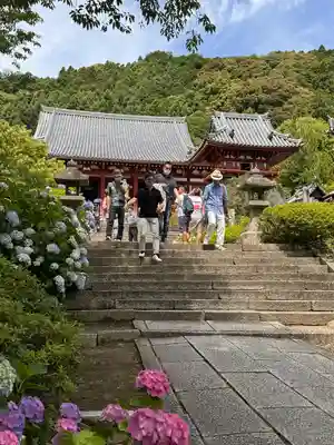 矢田寺(奈良県)