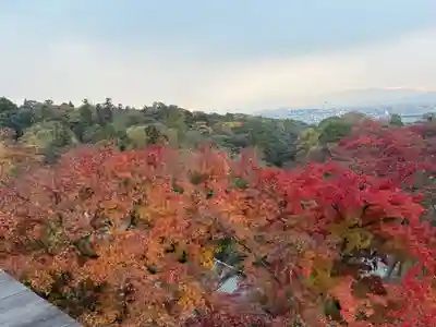 清水寺(京都府)