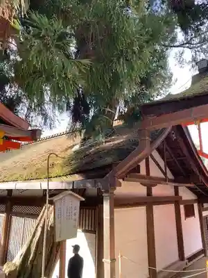 春日大社(奈良県)