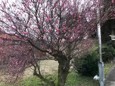 速星神社の自然