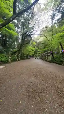 香取神宮の{uncategorized: "未分類", other: "その他", undefined: "問題あり", building: "その他建物", grave: "お墓", sacred_gate: "鳥居", guardian: "狛犬", statue: "像", buddha: "仏像", history: "歴史", nature: "自然", garden: "庭園", animal: "動物", pagoda: "塔", temizu: "手水舎", mountain_gate: "山門・神門", sanctuary: "本殿・本堂", subordinate: "末社・摂社", art: "芸術", scenery: "景色", jizo: "地蔵", ema: "絵馬", goshuin: "御朱印", omikuji: "おみくじ", items: "授与品その他", amulet: "お守り", goshuincho: "御朱印帳", eats: "食事", festival: "お祭り", votive_dance: "神楽", shichigosan: "七五三参", wedding: "結婚式", experience: "体験その他", initially: "初詣", around: "周辺", anti_infection: "感染症対策"}