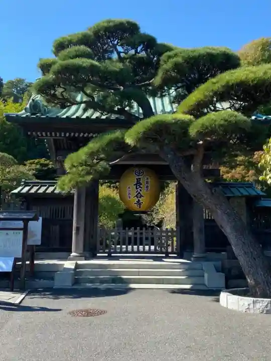 長谷寺(神奈川県)