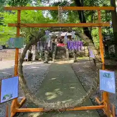 下野 星宮神社の建物その他