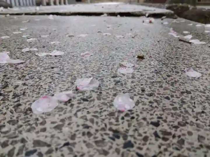 神明神社(福井県)