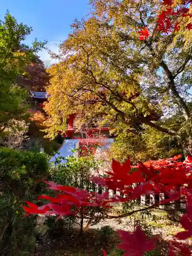 新大佛寺(三重県)