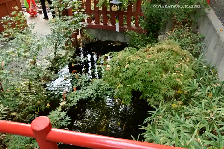 秩父神社(埼玉県)