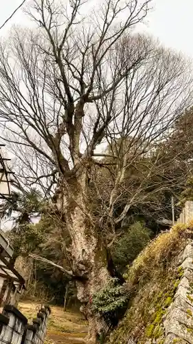 小夫天神社(奈良県)
