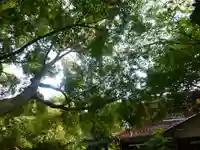 智光院(山口県)