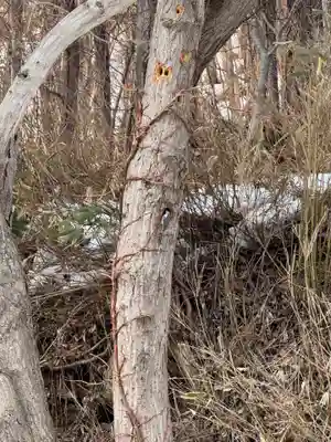 琴平神社(北海道)