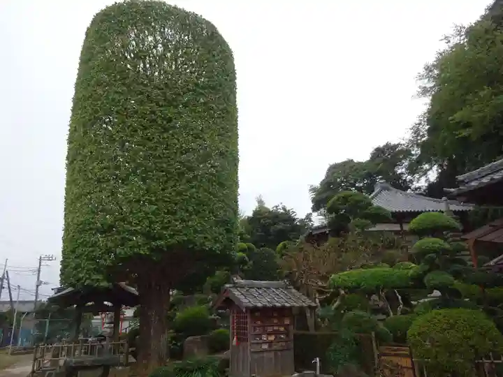 真蔵院(千葉県)