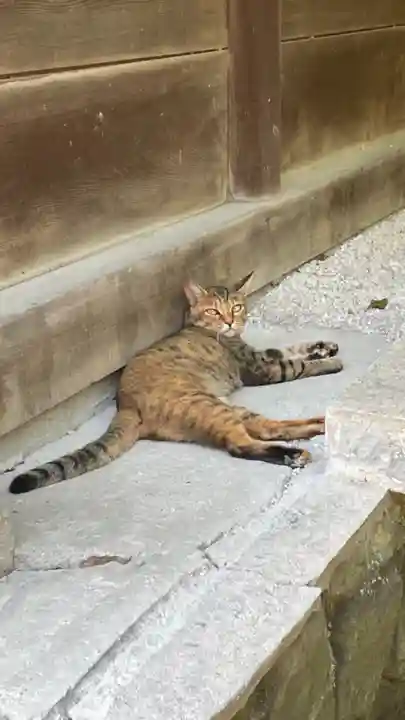 和泉國一之宮 大鳥大社の動物