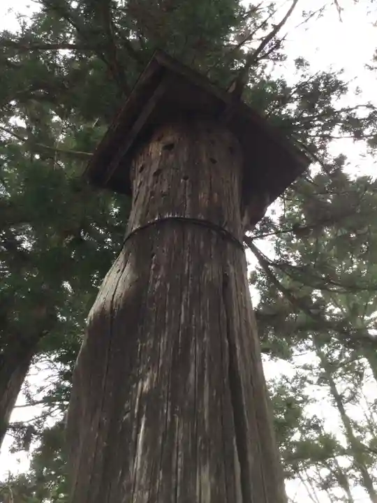 山家神社の自然