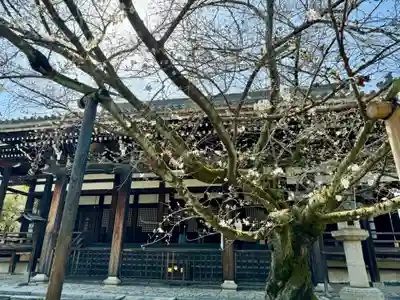 本法寺(京都府)