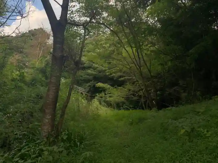 妙見神社の自然