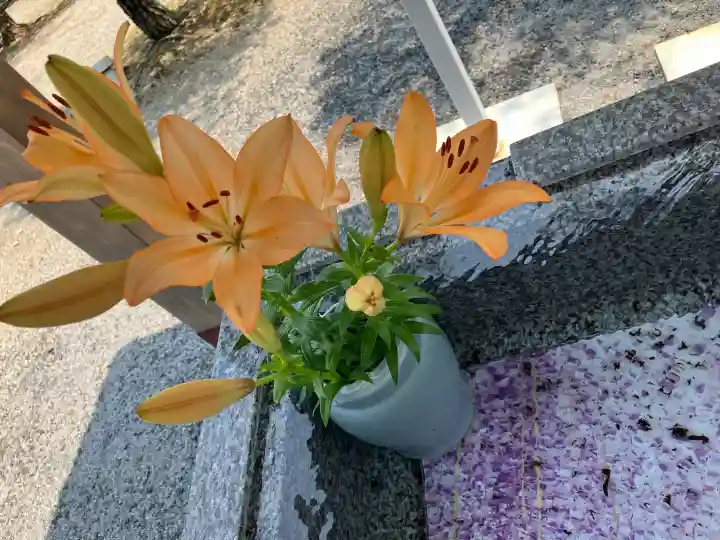 浅間神社(栃木県)