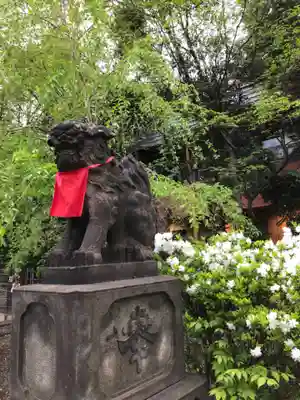 市谷亀岡八幡宮の狛犬