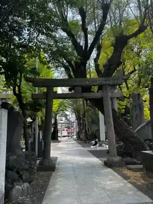 牛嶋神社(東京都)