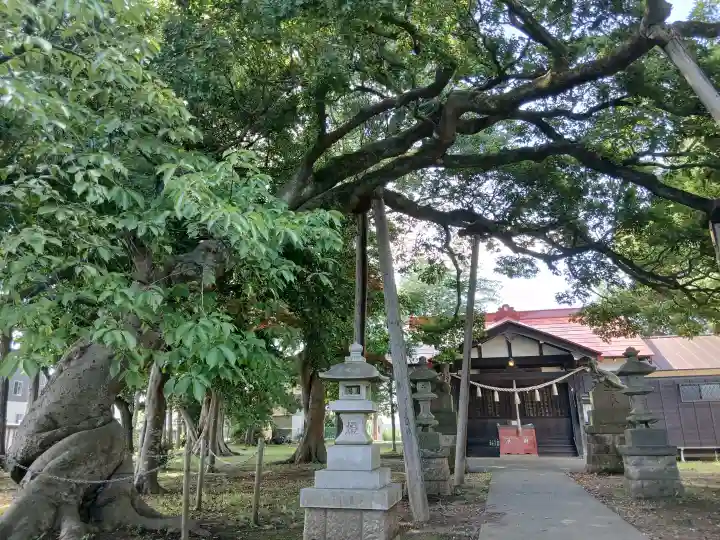 星影神社(千葉県)