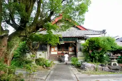 道智山 遍照院の本殿・本堂