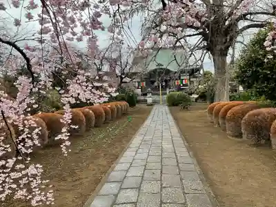 圓藏院(埼玉県)