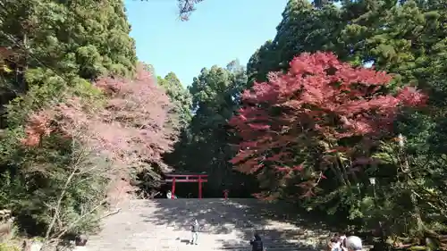 霧島神宮の庭園