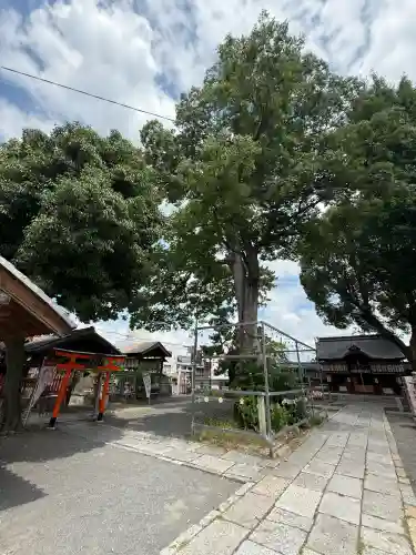 縣神社の自然