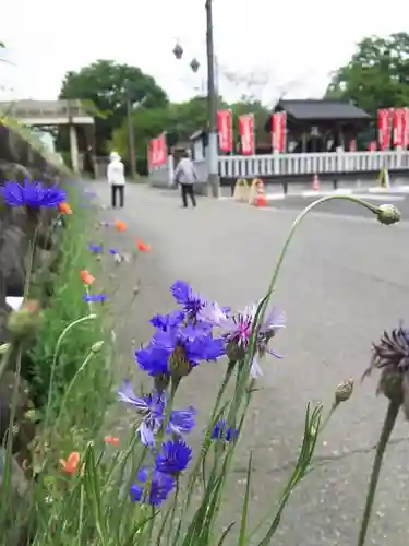 はね瀧道了尊の周辺
