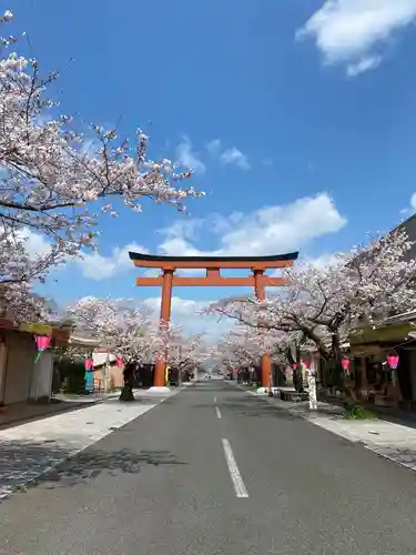 祐徳稲荷神社の鳥居