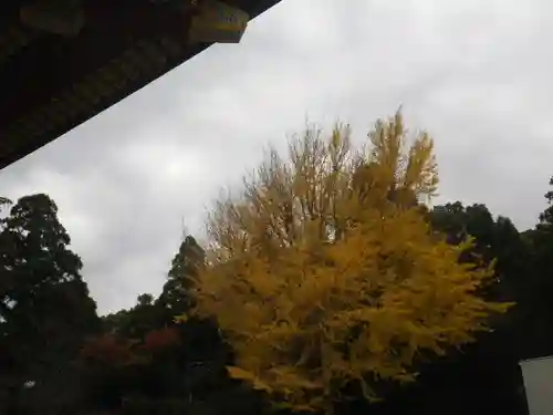 鶴岡八幡宮の自然