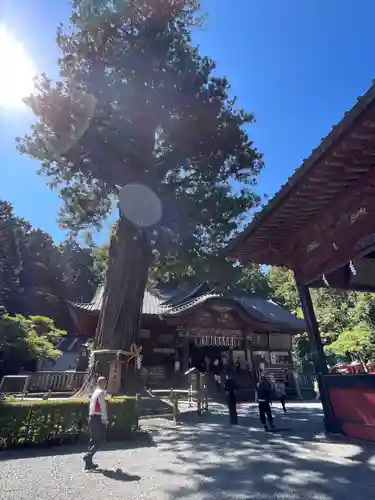 北口本宮冨士浅間神社の本殿