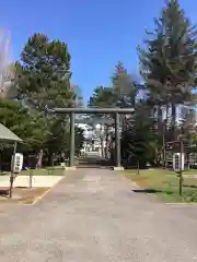 篠路神社の鳥居