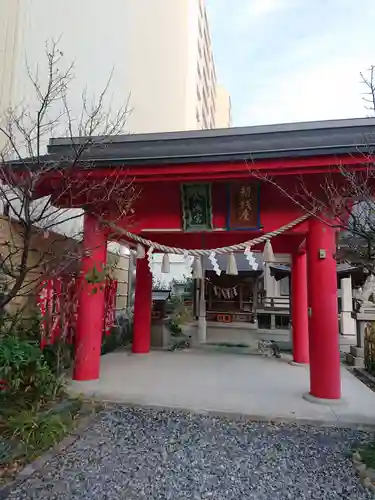 白山比咩神社の鳥居