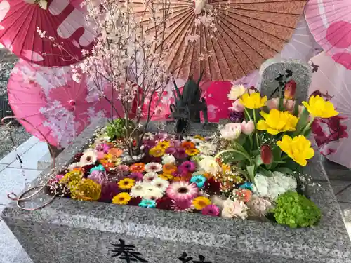 札幌諏訪神社の手水