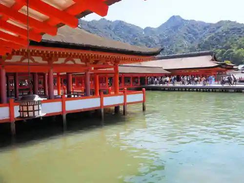 厳島神社の本殿