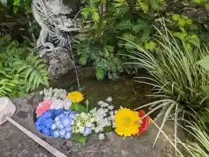 玉眞院玉川大師の手水舎(2022年07月06日(水) 15時25分45秒投稿)