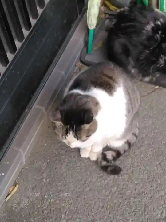 新照寺(東京都)