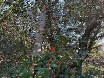 大龍寺(兵庫県)