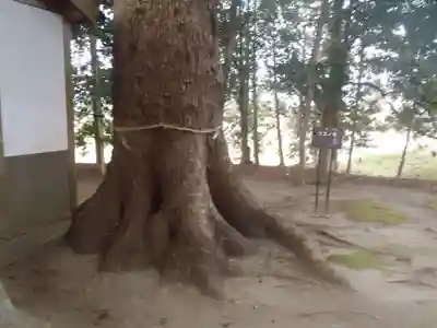 十二社(愛知県)