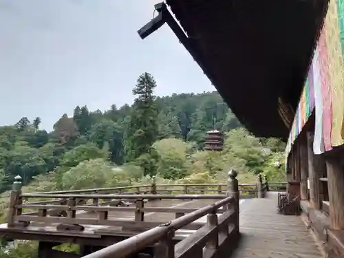 長谷寺の本殿・本堂