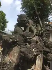 お三の宮日枝神社の狛犬