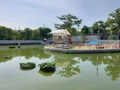 百舌鳥八幡宮(大阪府)