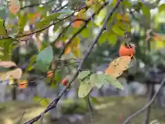 伊勢の国 四天王寺の自然