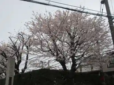 東光寺(神奈川県)