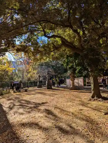 赤坂氷川神社(東京都)