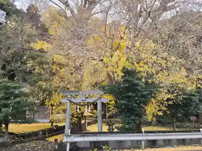 志理太乎宜神社(来宮神社)(静岡県)