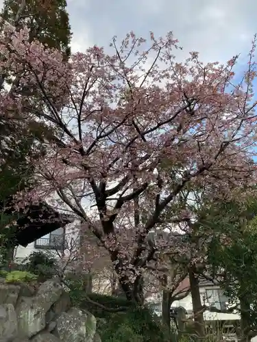 瑞応寺(神奈川県)