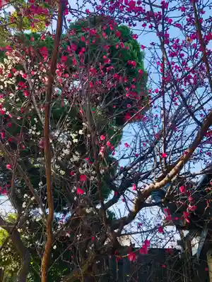 徳庵神社の自然