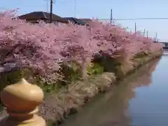 鷲宮神社(埼玉県)