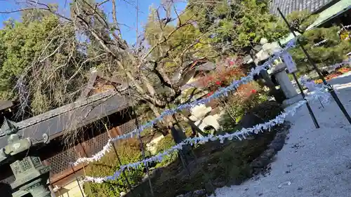 今宮神社(京都府)
